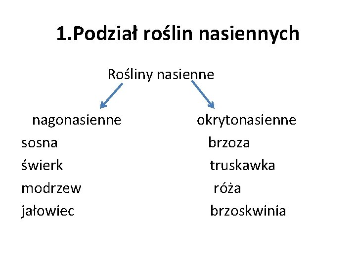 1. Podział roślin nasiennych Rośliny nasienne nagonasienne okrytonasienne sosna brzoza świerk truskawka modrzew róża 1. Podział roślin nasiennych Rośliny nasienne nagonasienne okrytonasienne sosna brzoza świerk truskawka modrzew róża