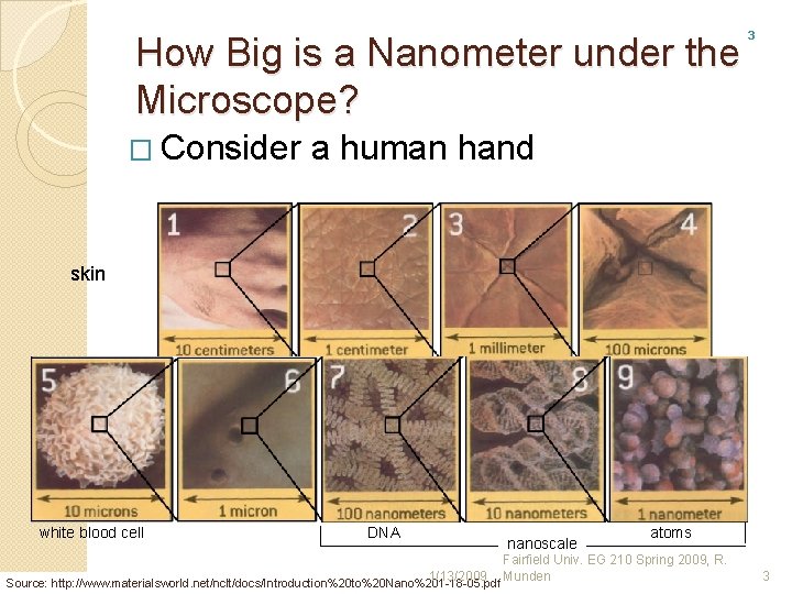3 How Big is a Nanometer under the Microscope? � Consider a human hand