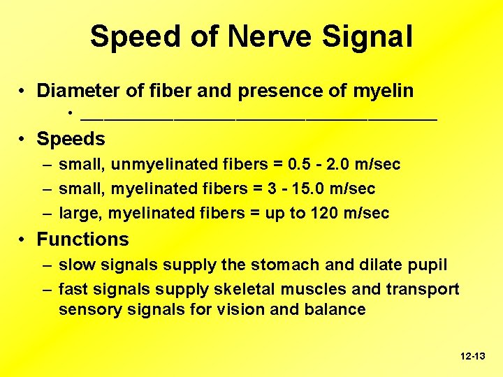 Speed of Nerve Signal • Diameter of fiber and presence of myelin • _______________________