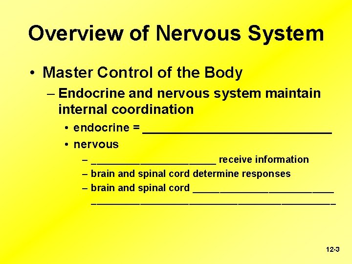 Overview of Nervous System • Master Control of the Body – Endocrine and nervous