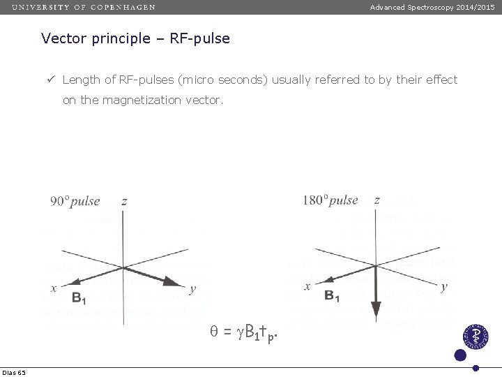 Advanced Spectroscopy 2014/2015 Vector principle – RF-pulse ü Length of RF-pulses (micro seconds) usually Advanced Spectroscopy 2014/2015 Vector principle – RF-pulse ü Length of RF-pulses (micro seconds) usually