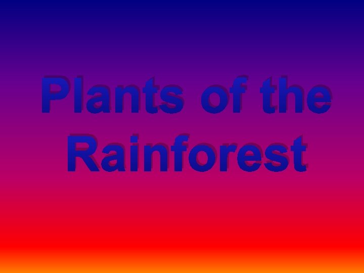 Plants of the Rainforest 