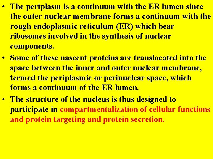  • The periplasm is a continuum with the ER lumen since the outer