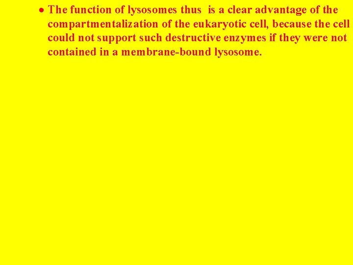 · The function of lysosomes thus is a clear advantage of the compartmentalization of