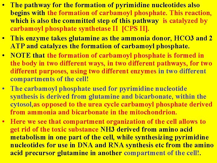 • The pathway for the formation of pyrimidine nucleotides also begins with the