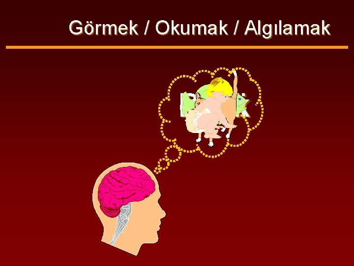 Görmek / Okumak / Algılamak Çocuk Balık Kedi 