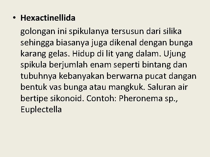  • Hexactinellida golongan ini spikulanya tersusun dari silika sehingga biasanya juga dikenal dengan