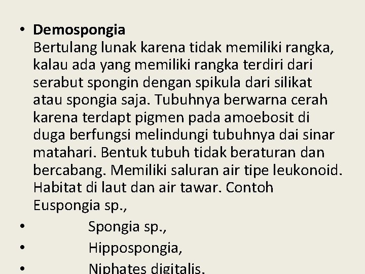  • Demospongia Bertulang lunak karena tidak memiliki rangka, kalau ada yang memiliki rangka