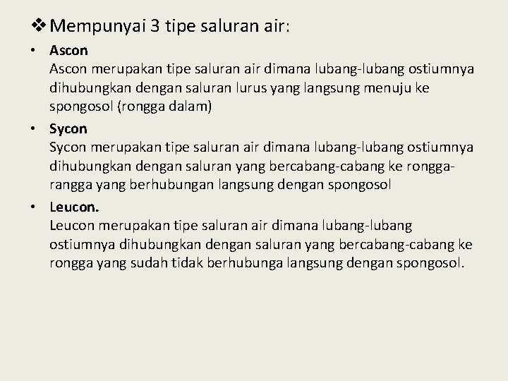 v Mempunyai 3 tipe saluran air: • Ascon merupakan tipe saluran air dimana lubang-lubang