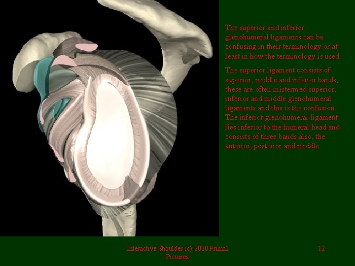 The superior and inferior glenohumeral ligaments can be confusing in their terminology or at