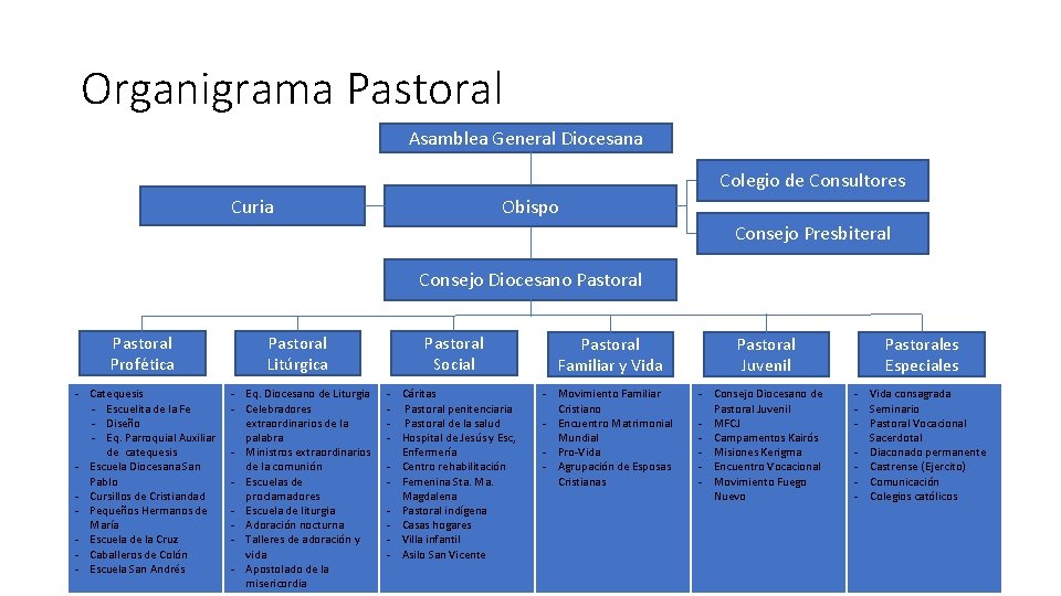 Organigrama Pastoral Asamblea General Diocesana Colegio de Consultores Obispo Curia Consejo Presbiteral Consejo Diocesano