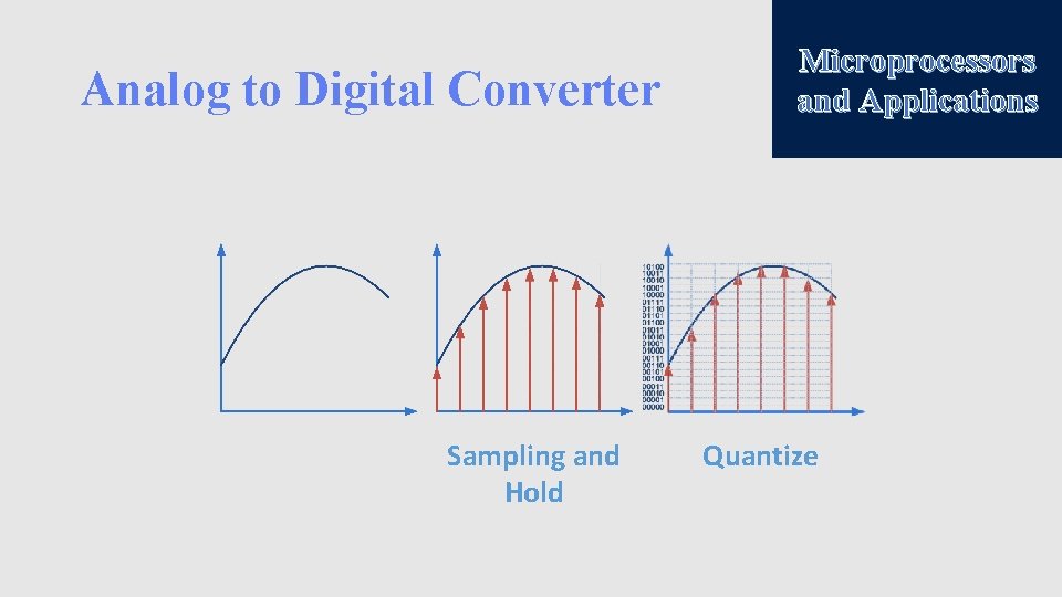 Analog to Digital Converter Sampling and Hold Microprocessors and Applications Quantize 