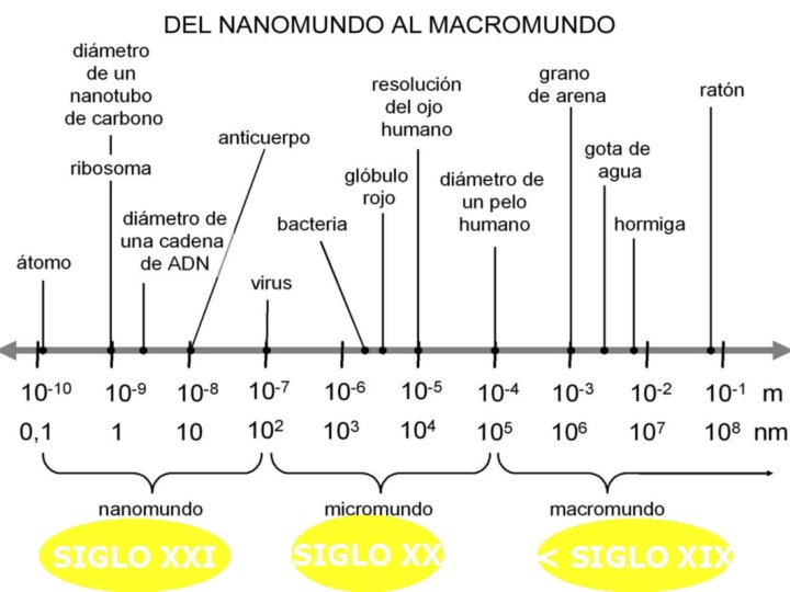 SIGLO XXI SIGLO XX < SIGLO XIX 