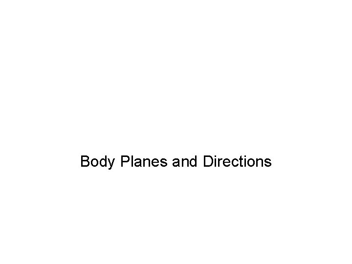 Body Planes and Directions 