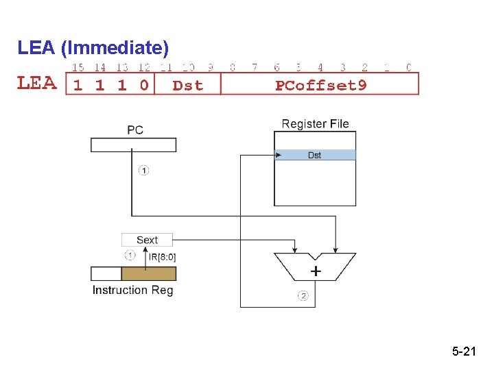 LEA (Immediate) 5 -21 