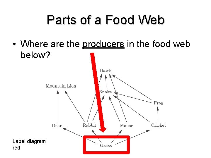 Parts of a Food Web • Where are the producers in the food web