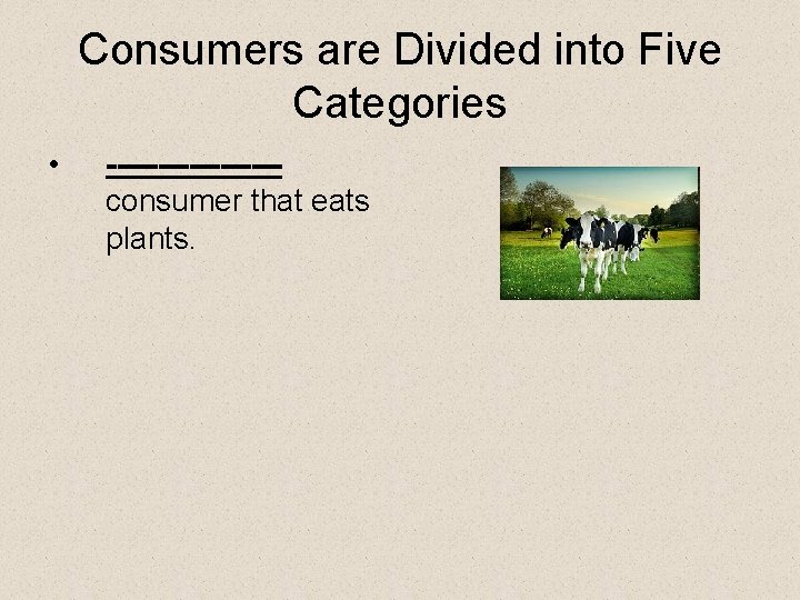 Consumers are Divided into Five Categories • --------consumer that eats plants. 