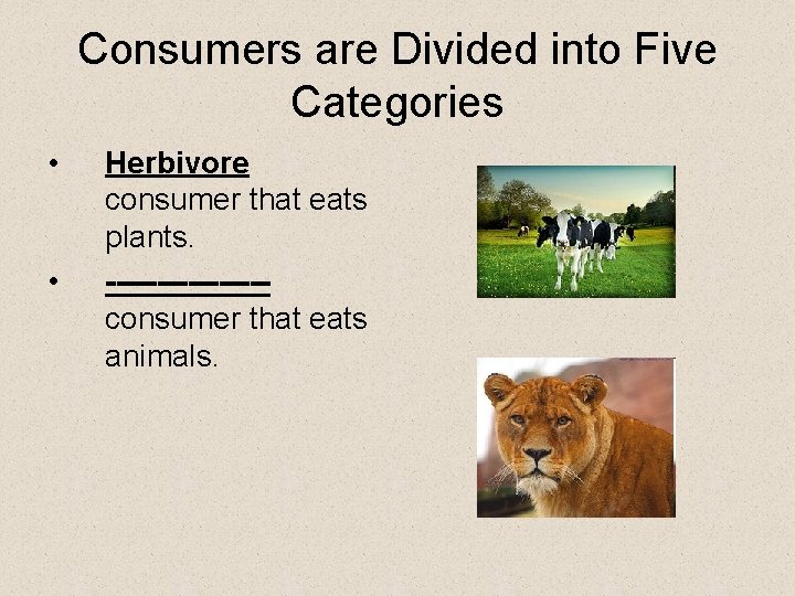 Consumers are Divided into Five Categories • • Herbivore consumer that eats plants. --------consumer