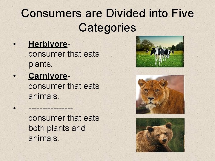 Consumers are Divided into Five Categories • • • Herbivoreconsumer that eats plants. Carnivoreconsumer