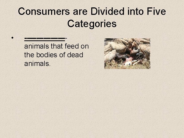 Consumers are Divided into Five Categories • ---------animals that feed on the bodies of