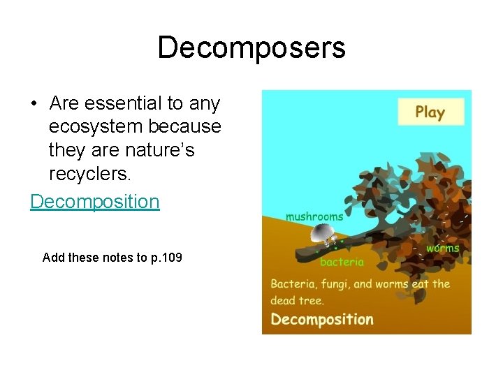 Decomposers • Are essential to any ecosystem because they are nature’s recyclers. Decomposition Add