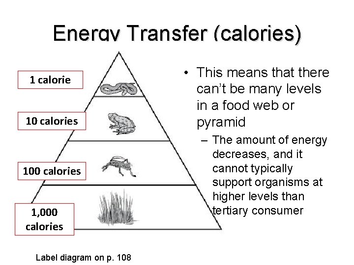 Energy Transfer (calories) 1 calorie 10 calories 100 calories 1, 000 calories Label diagram