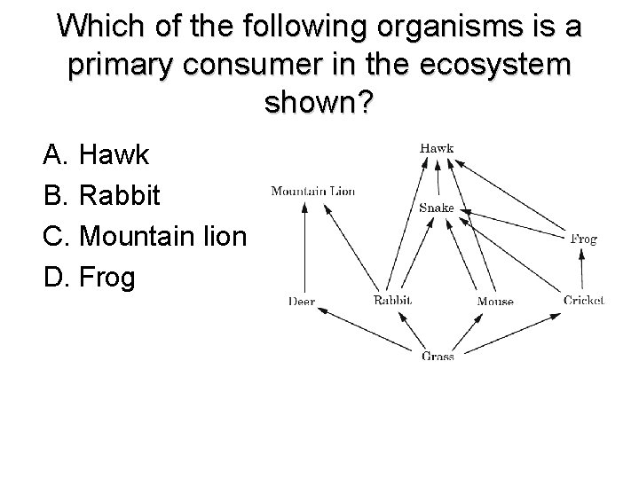 Which of the following organisms is a primary consumer in the ecosystem shown? A.