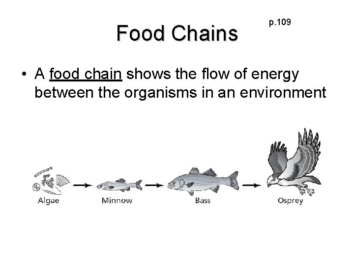Food Chains p. 109 • A food chain shows the flow of energy between