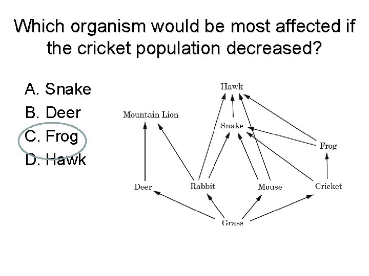 Which organism would be most affected if the cricket population decreased? A. Snake B.