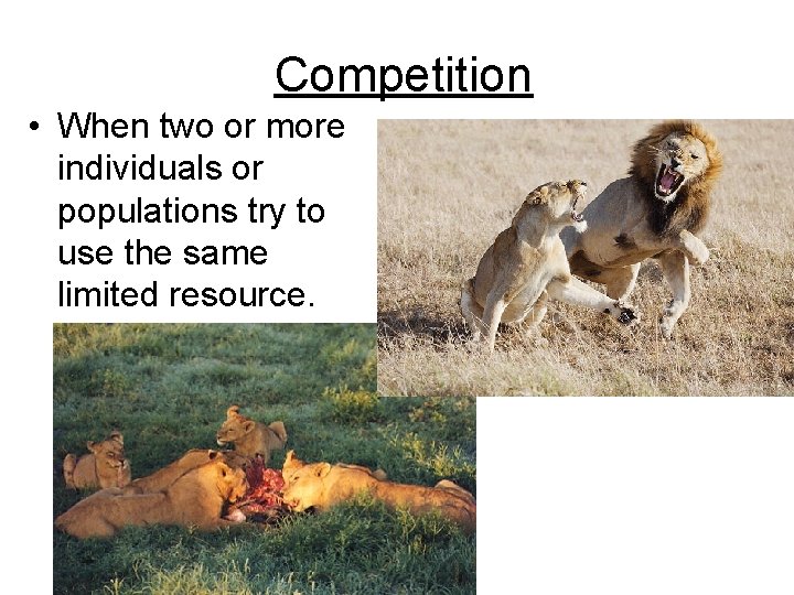 Competition • When two or more individuals or populations try to use the same