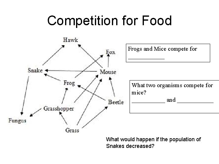 Competition for Food Frogs and Mice compete for ______ What two organisms compete for