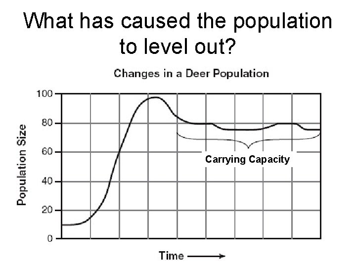 What has caused the population to level out? Carrying Capacity 