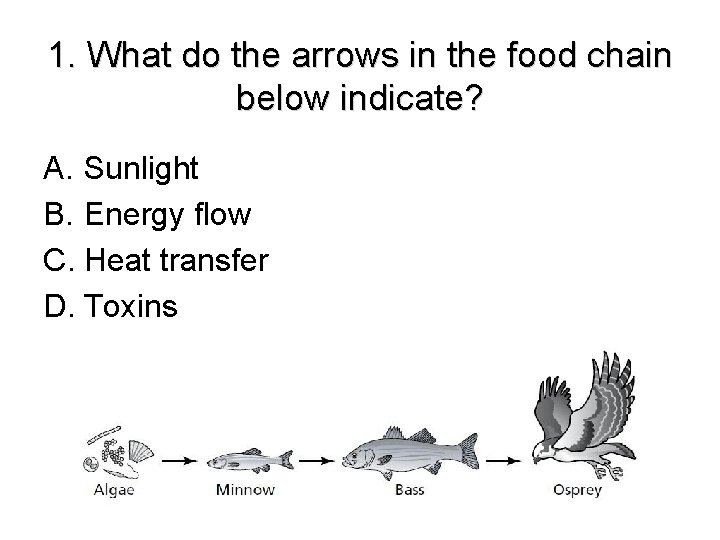 1. What do the arrows in the food chain below indicate? A. Sunlight B.