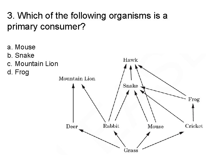 3. Which of the following organisms is a primary consumer? a. Mouse b. Snake