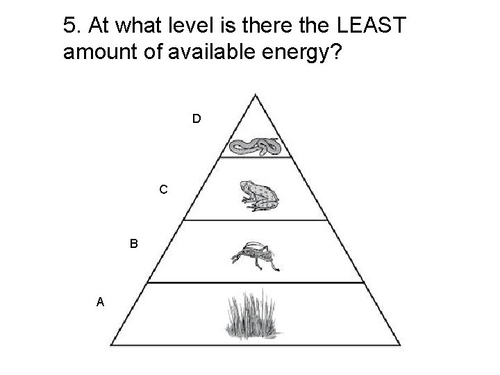 5. At what level is there the LEAST amount of available energy? D C