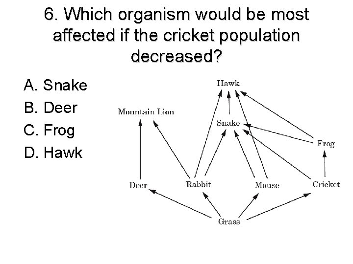 6. Which organism would be most affected if the cricket population decreased? A. Snake