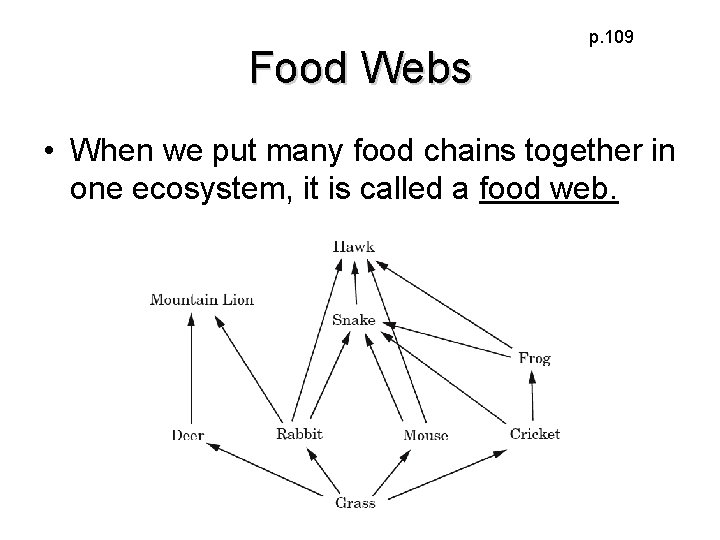 Food Webs p. 109 • When we put many food chains together in one