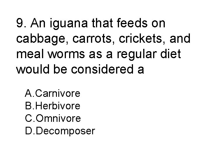 9. An iguana that feeds on cabbage, carrots, crickets, and meal worms as a