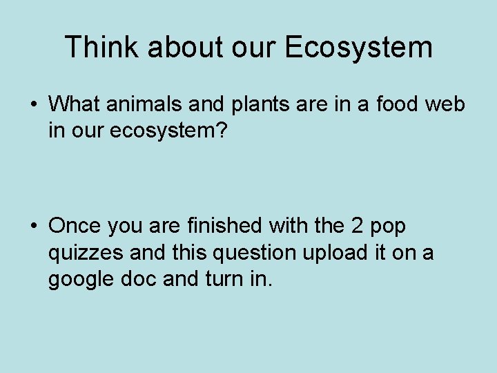 Think about our Ecosystem • What animals and plants are in a food web