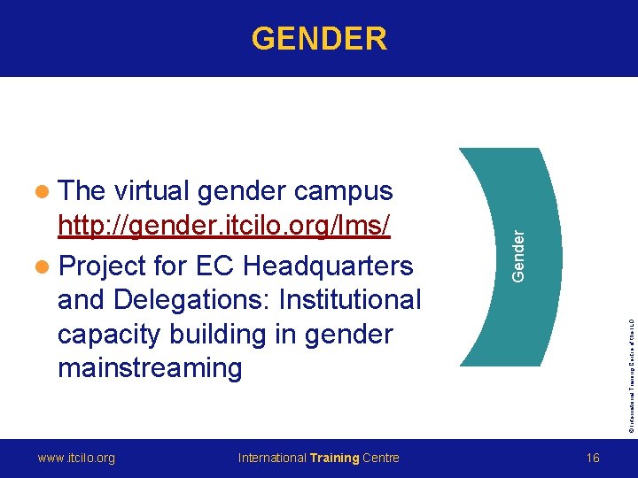 GENDER www. itcilo. org International Training Centre © International Training Centre of the ILO