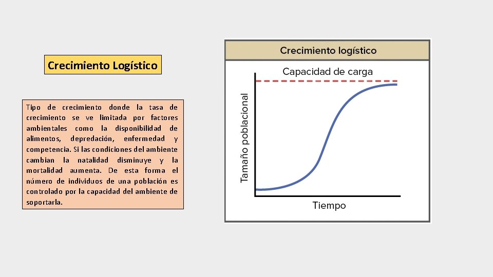 Crecimiento Logístico Tipo de crecimiento donde la tasa de crecimiento se ve limitada por