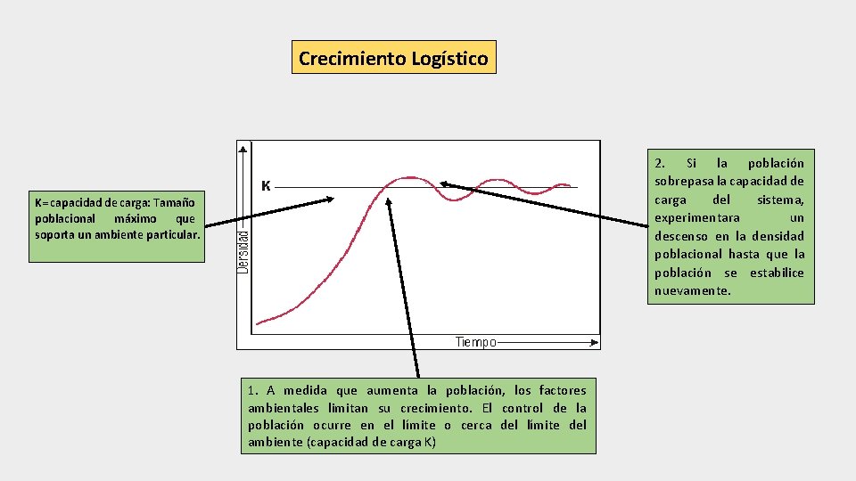 Crecimiento Logístico 2. Si la población sobrepasa la capacidad de carga del sistema, experimentara