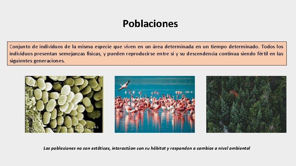 Poblaciones Conjunto de individuos de la misma especie que viven en un área determinada