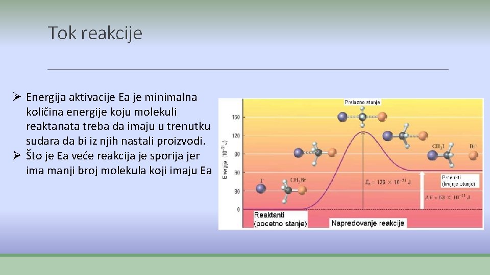 Tok reakcije Ø Energija aktivacije Ea je minimalna količina energije koju molekuli reaktanata treba