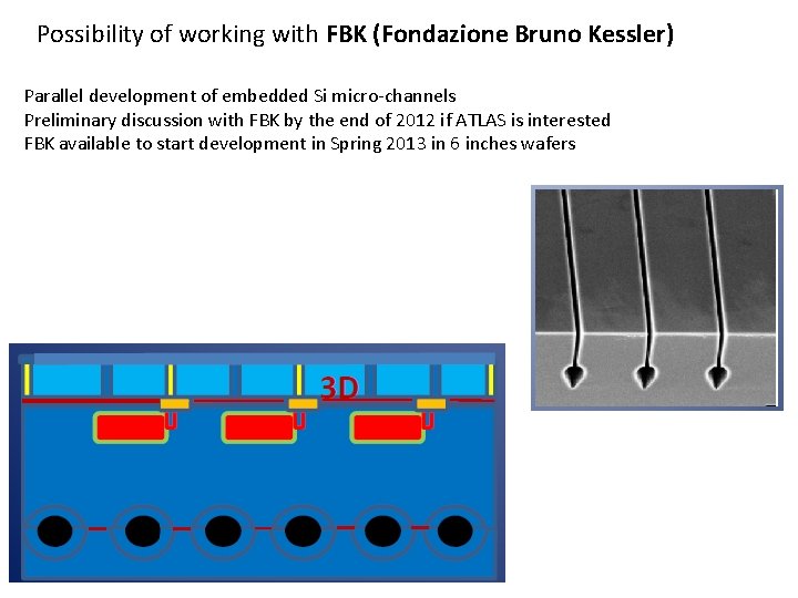 Possibility of working with FBK (Fondazione Bruno Kessler) Parallel development of embedded Si micro-channels