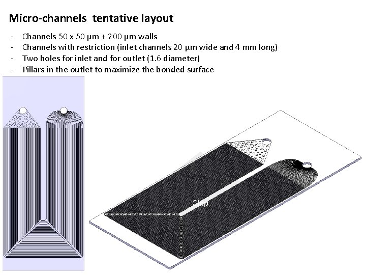 Micro-channels tentative layout - Channels 50 x 50 µm + 200 µm walls Channels