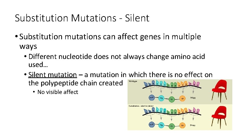 What Are The Effects Of Substitution Mutation