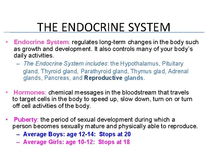 THE ENDOCRINE SYSTEM • Endocrine System: regulates long-term changes in the body such as