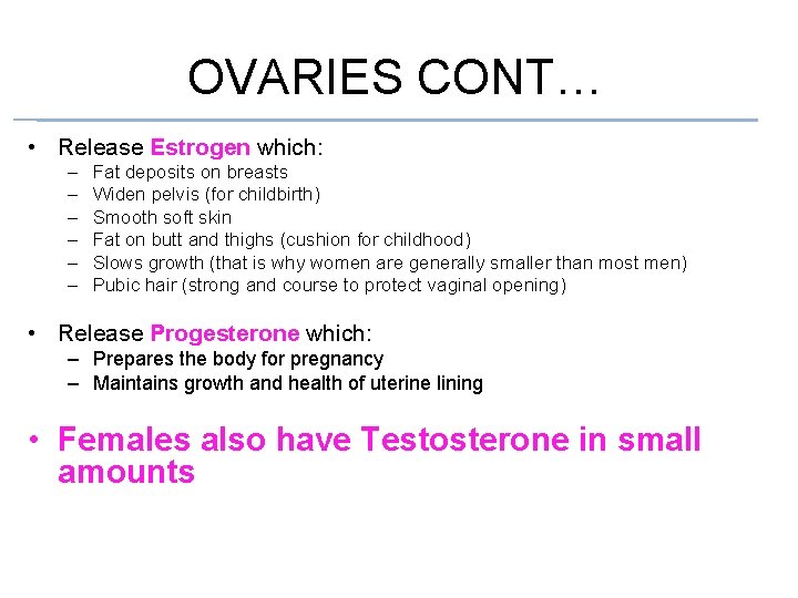 OVARIES CONT… • Release Estrogen which: – – – Fat deposits on breasts Widen