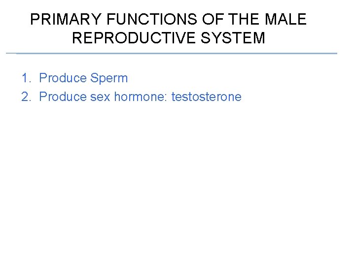 PRIMARY FUNCTIONS OF THE MALE REPRODUCTIVE SYSTEM 1. Produce Sperm 2. Produce sex hormone: